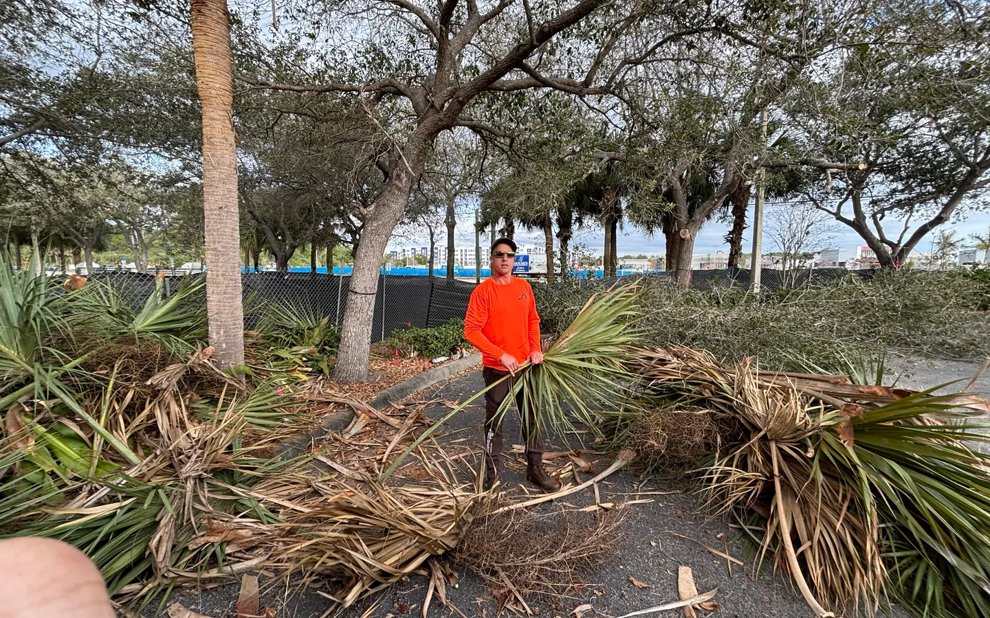 Storm Damage & Emergency Tree Service in Southwest Florida